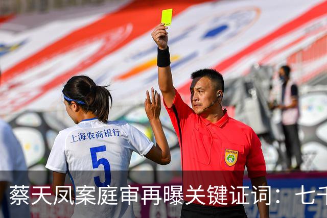 蔡天凤案庭审再曝关键证词：七千万全款买楼写别人名字，这笔账最后用命来还