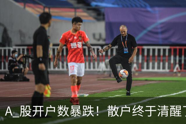 A 股开户数暴跌！散户终于清醒了？